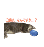 佐藤ふぁみりぃ（個別スタンプ：15）