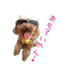 関西犬三匹の日常会話（個別スタンプ：19）