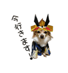 関西犬三匹の日常会話（個別スタンプ：20）