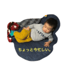 koyo stamp（個別スタンプ：13）