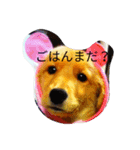 momotenurara（個別スタンプ：2）