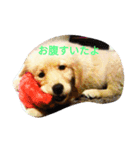 momotenurara（個別スタンプ：3）