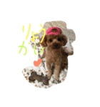 raifu passe1（個別スタンプ：3）
