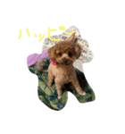 raifu passe1（個別スタンプ：6）