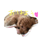 raifu passe1（個別スタンプ：7）