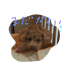 raifu passe1（個別スタンプ：11）