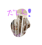 raifu passe1（個別スタンプ：12）