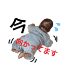僕、やまと！（個別スタンプ：35）