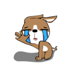 ハイブリッド犬の一日（個別スタンプ：7）