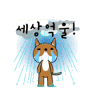 ハイブリッド犬の一日（個別スタンプ：19）