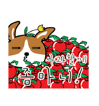 ハイブリッド犬の一日（個別スタンプ：21）