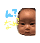よこまつスタンプー（個別スタンプ：13）