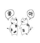 ネコ時々、韓国語（個別スタンプ：13）