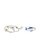 ネコ時々、韓国語（個別スタンプ：27）