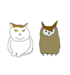 ネコ時々、韓国語（個別スタンプ：34）