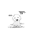 My dog's Expressions（個別スタンプ：1）