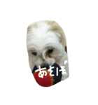 愛してる家族（個別スタンプ：7）