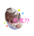 うちのそらちゃん（個別スタンプ：8）