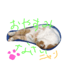 れれれれ（個別スタンプ：5）
