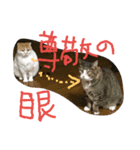 れれれれ（個別スタンプ：6）
