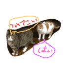 れれれれ（個別スタンプ：7）