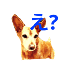 我々の愛してやまないリトル君スタンプ！（個別スタンプ：2）
