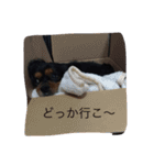 うちのチャミーちゃん（個別スタンプ：20）