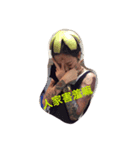 Ning happy birthday（個別スタンプ：7）