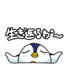 ネットに詳しいペンギンのスタンプ（個別スタンプ：23）