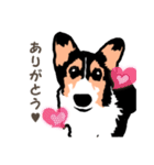 ゆるい黒コーギースタンプ（個別スタンプ：4）