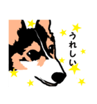 ゆるい黒コーギースタンプ（個別スタンプ：6）