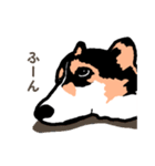 ゆるい黒コーギースタンプ（個別スタンプ：25）