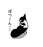 ゆるい黒コーギースタンプ（個別スタンプ：29）