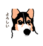 ゆるい黒コーギースタンプ（個別スタンプ：33）