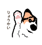 ゆるい黒コーギースタンプ（個別スタンプ：34）