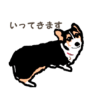 ゆるい黒コーギースタンプ（個別スタンプ：36）