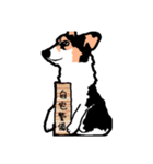 ゆるい黒コーギースタンプ（個別スタンプ：38）