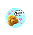 しゅうの毎日♡3（個別スタンプ：13）