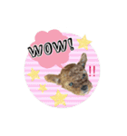 しゅうの毎日♡3（個別スタンプ：14）