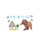 しゅうの毎日♡3（個別スタンプ：17）