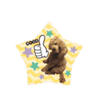しゅうの毎日♡3（個別スタンプ：22）
