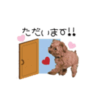 しゅうの毎日♡3（個別スタンプ：23）