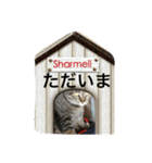 シャルメ（個別スタンプ：2）