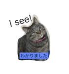 シャルメ（個別スタンプ：11）