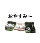 うちの猫。可愛い。（個別スタンプ：7）