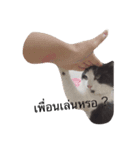 Cocomeawneang（個別スタンプ：3）