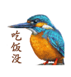 He-yi Painted Birds 01（個別スタンプ：4）