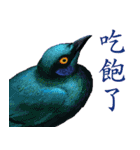 He-yi Painted Birds 01（個別スタンプ：5）