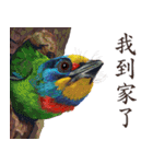 He-yi Painted Birds 01（個別スタンプ：7）