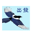 He-yi Painted Birds 01（個別スタンプ：10）